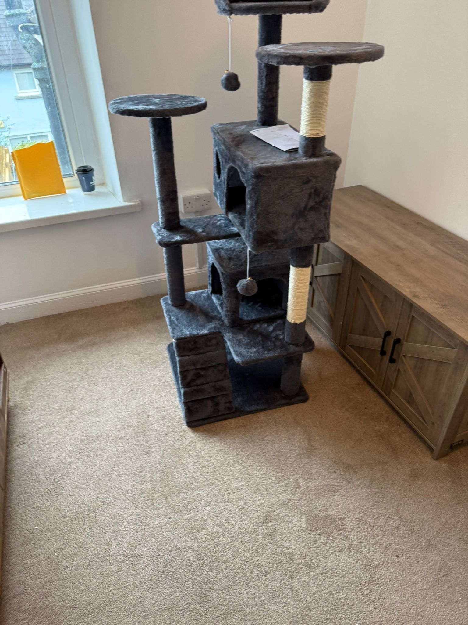 Professional Wayfair Cat Pet assembly — Swansea