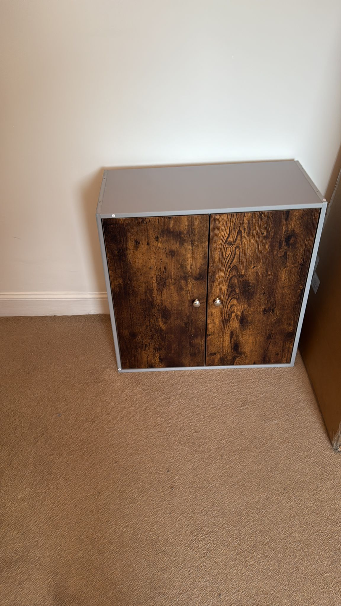 Professional Wayfair Dolce Cupboard assembly — Swansea